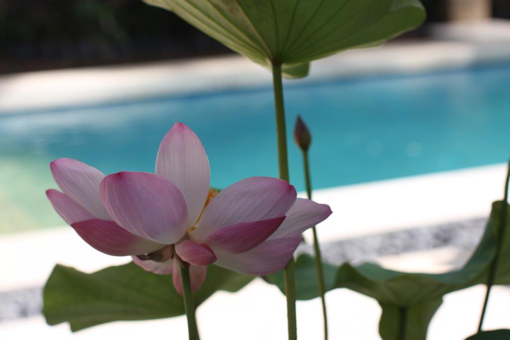 Villa Alu Lima Seminyak Rum bild