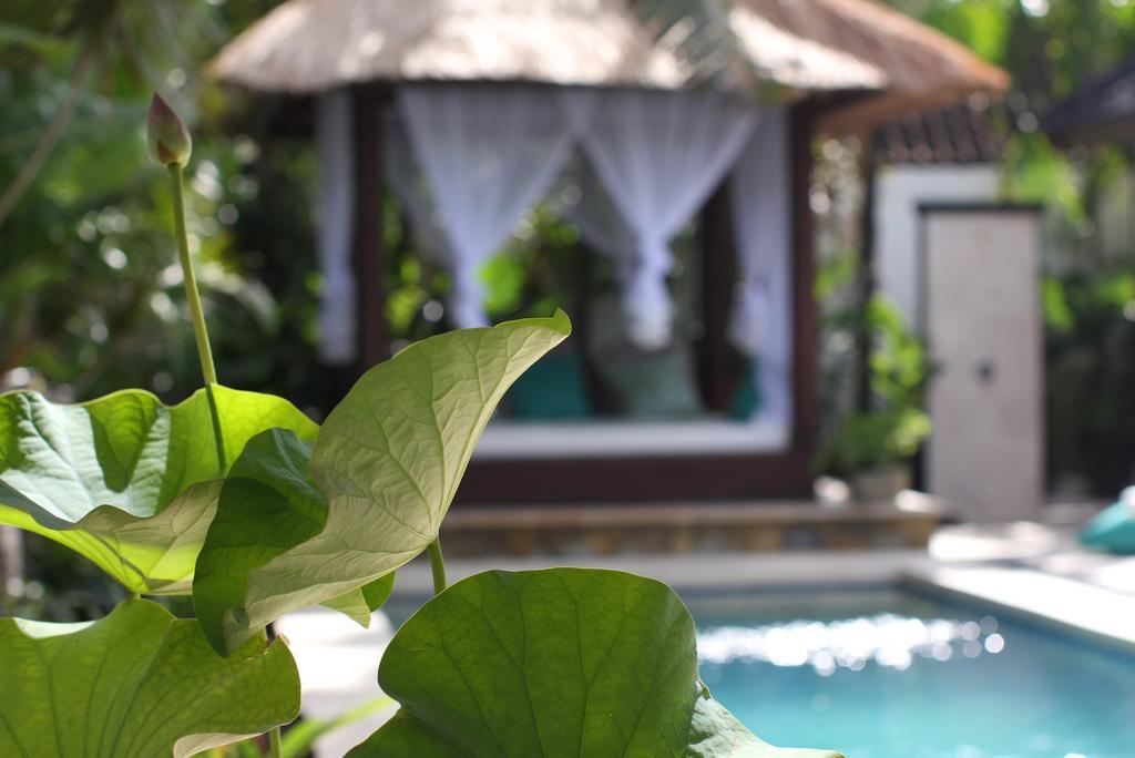 Villa Alu Lima Seminyak Exteriör bild
