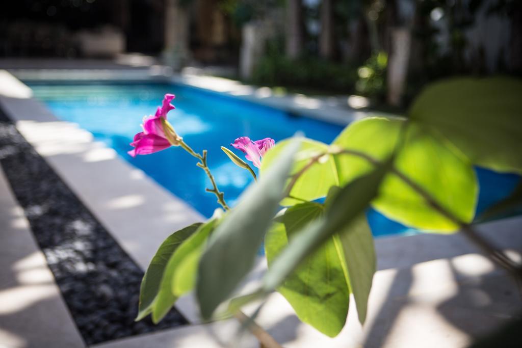 Villa Alu Lima Seminyak Rum bild